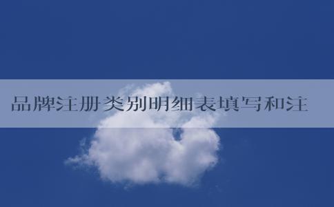 品牌注冊類別明細(xì)表填寫和注意事項及5個維度說明