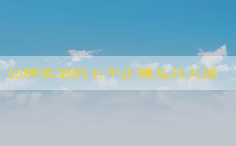 品牌策劃的五個(gè)步驟及其關(guān)鍵要素（包括品牌建設(shè)、品牌打造方法、**和差異化）