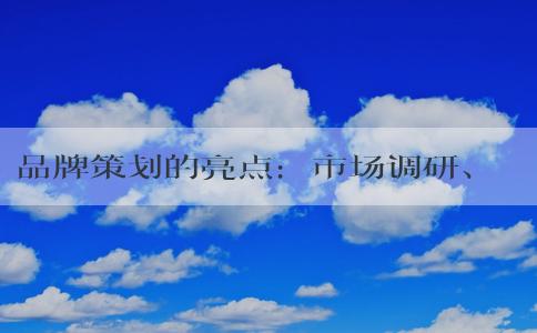 品牌策劃的亮點：市場調(diào)研、品牌**及其他方面。