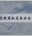 鞋子品牌商標(biāo)名稱大全：了解、使用及其對消費(fèi)者的意義