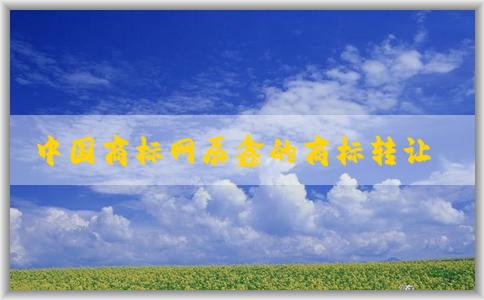 中國(guó)商標(biāo)網(wǎng)辰鑫的商標(biāo)轉(zhuǎn)讓流程及選擇建議