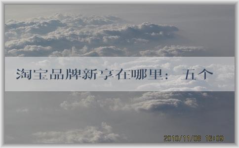 淘寶品牌新享在哪里：五個(gè)維度問題、商業(yè)價(jià)值、品牌建設(shè)及新品牌介紹