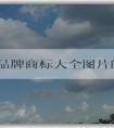 運動品牌商標(biāo)大全圖片的應(yīng)用：品牌設(shè)計、市場分析與全球30大運動品牌